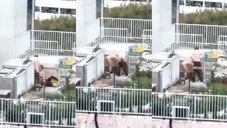 野外フェラ